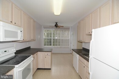 1597 Homeland Dr unit 3E, Sykesville, MD 21784 - photo 4