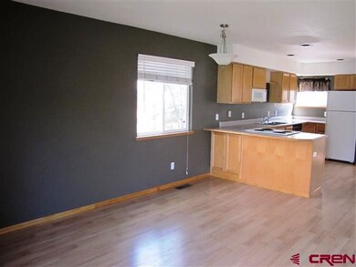 0 Sunridge Ln unit 678836, Durango, CO 81301 - photo 3