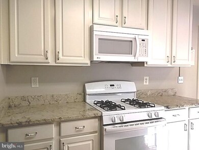 4650 Alcott Way unit 103, Owings Mills, MD 21117 - photo 6