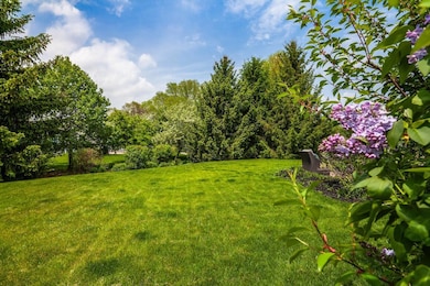 Private Backyard