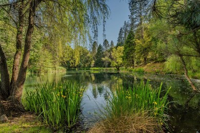 unlisted-address, Fiddletown, CA 95629 - photo 4