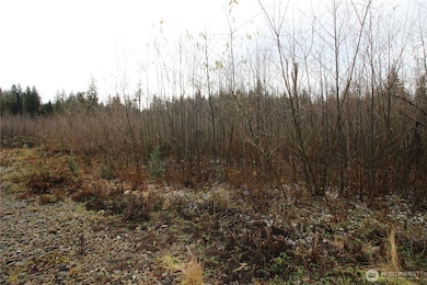 0 364th Ave SE, Maple Valley, WA 98038 - photo 6