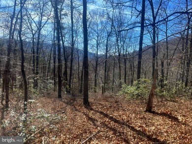 0 Tract 10 Lost River Bluffs unit WVHD2001350, Mathias, WV 26812 - photo 7