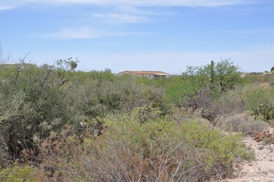 RIPARIAN AREA