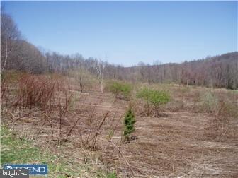 L:9948 State Rd, Boyertown, PA 19512 - photo 4