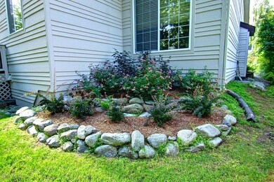 Landscaping Backyard