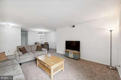 3109 Patrick Henry Dr unit 623, Falls Church, VA 22044 - photo 5