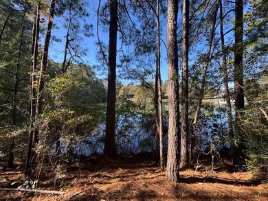 Lot #19 W Bay Dr, Lumberton, MS 39455 - photo 5