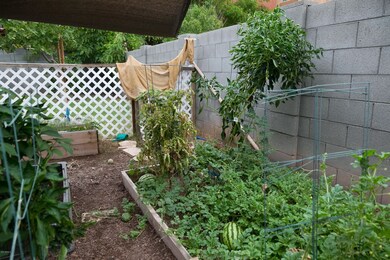 3936 E Frances Ln, Gilbert, AZ 85295 - photo 5