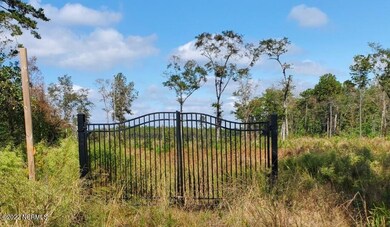 Lot 5-6 Barbeque NW, Ocean Isle Beach, NC 28469 - photo 3