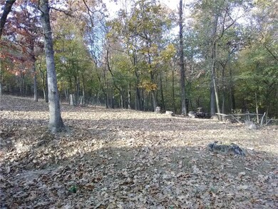 24640 Coats Rd, Maysville, AR 72747 - photo 5