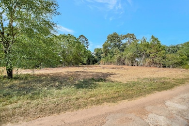 25254 River Run Rd, Hockley, TX 77447 - photo 3
