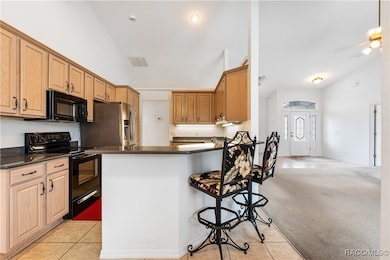 4567 N Grass Island Terrace, Hernando, FL 34442 - photo 3