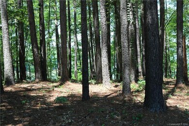 130 Bridgeland Trail unit Lot 4, Statesville, NC 28677 - photo 4