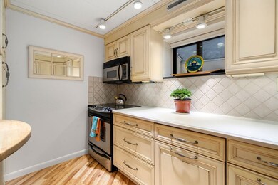 17 Healey St unit 103, Cambridge, MA 02138 - photo 5