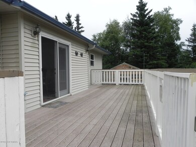 Large Trex Deck