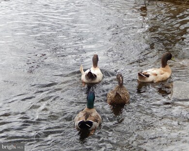 1327 N West St, Wilmington, DE 19801 - photo 7