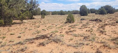 0 unit 257823, Concho, AZ 85924 - photo 7