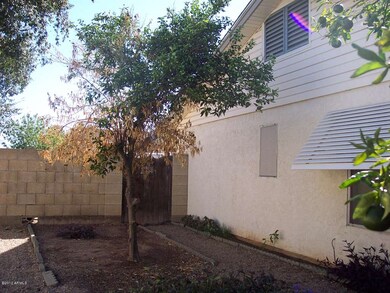 Side Yard Gate