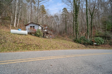 7065 Ellijay Rd, Franklin, NC 28734 - photo 6