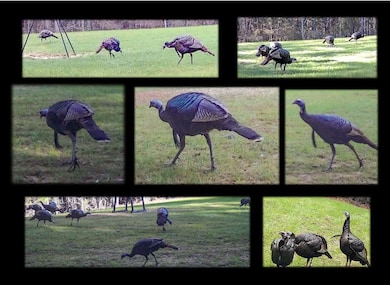 335 Beaverdam Rd, Camden, MS 39045 - photo 5