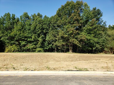 43 Kilner Goodlet Ct, Mount Washington, KY 40047 - photo 3