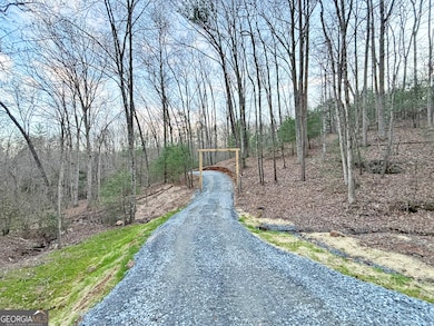 2372 Humphrey Mill Rd, Mineral Bluff, GA 30559 - photo 6