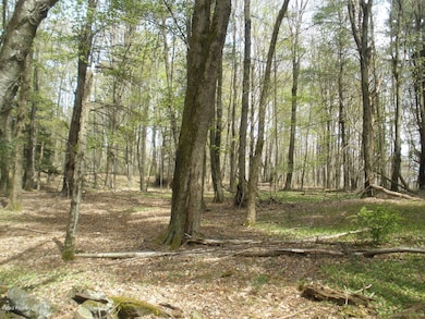 72 Kratz Rd, Honesdale, PA 18431 - photo 3