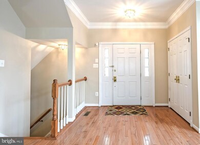 42906 Overly Square, Chantilly, VA 20152 - photo 2