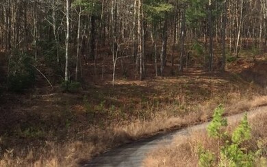 0 Ivy Cove Ln, Ellijay, GA 30536 - photo 3