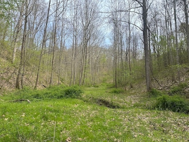 8829 Clay Rd, Left Hand, WV 25251 - photo 6