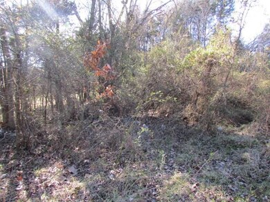 127 Mineral Springs Rd, West Fork, AR 72774 - photo 2