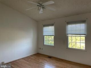 13346 Burkitts Rd, Fairfax, VA 22033 - photo 6