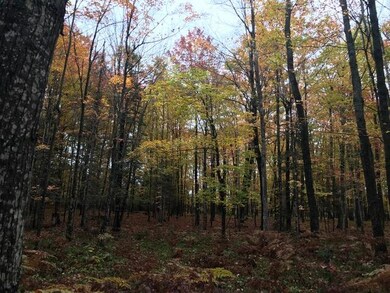 1860 E Swede Rd, Cedarville, MI 49719 - photo 7