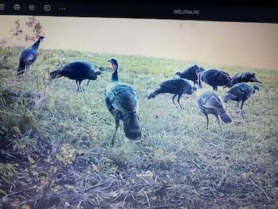 9141 Wesley Chapel Rd, Mount Perry, OH 43760 - photo 5