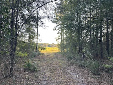 Tract#6201 Doyle Morgan Rd, Defuniak Springs, FL 32433 - photo 5