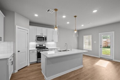 21838 Burgos Plaza Dr, Tomball, TX 77377 - photo 3