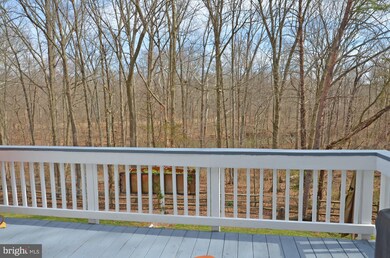 15286 Surrey House Way, Centreville, VA 20120 - photo 5