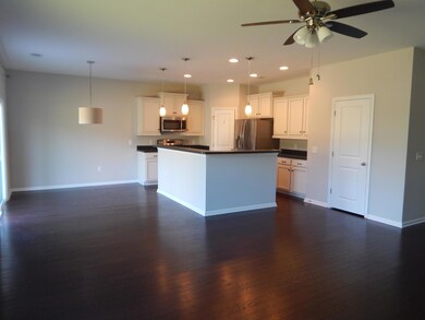 181 Weeping Cypress Dr, Moncks Corner, SC 29461 - photo 5