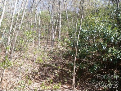 0 Anglers Ridge unit B1, B2,B3,B4, Waynesville, NC 28786 - photo 6