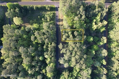 0 Donna Ashley St, Brandon, MS 39042 - photo 2