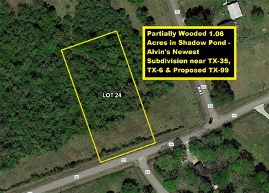 2602 County Road 160 Lot 24, Alvin, TX 77511 - photo 2