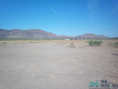 12910 Azul Rd SE, Deming, NM 88030 - photo 5