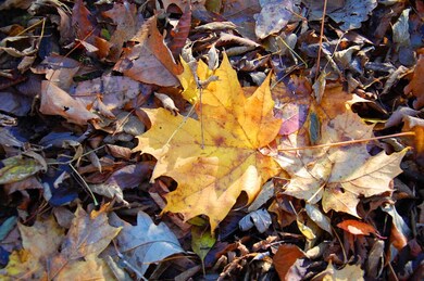 L3 Alpine Rd, Brooklyn, WI 53521 - photo 2