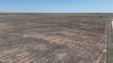 dji_fly_20250408_145444_0332_17441415798