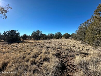 2249 W Cienega Dr, Ash Fork, AZ 86320 - photo 3