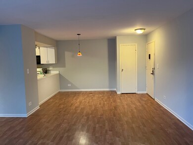 4500 Kings Walk Dr unit 2A, Rolling Meadows, IL 60008 - photo 3