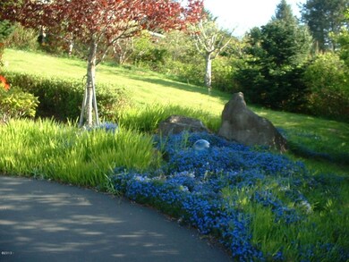 Beautiful Spring