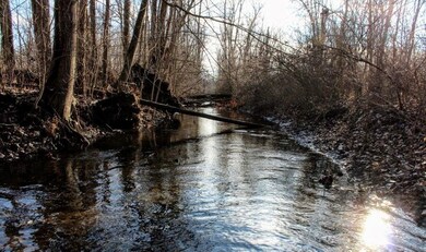 creek