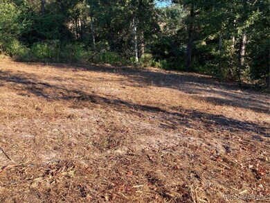 Lot 2 Sunshine Rd, Andalusia, AL 36421 - photo 4